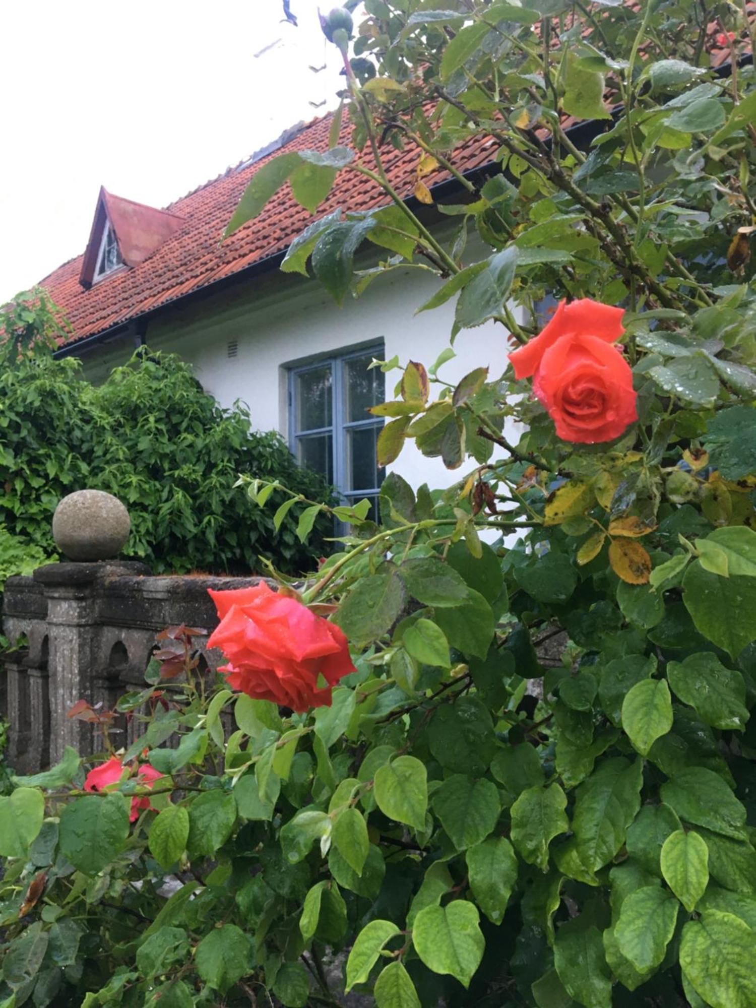 Sydkustens At Tullnaes Vingard Klagstorp Exteriör bild