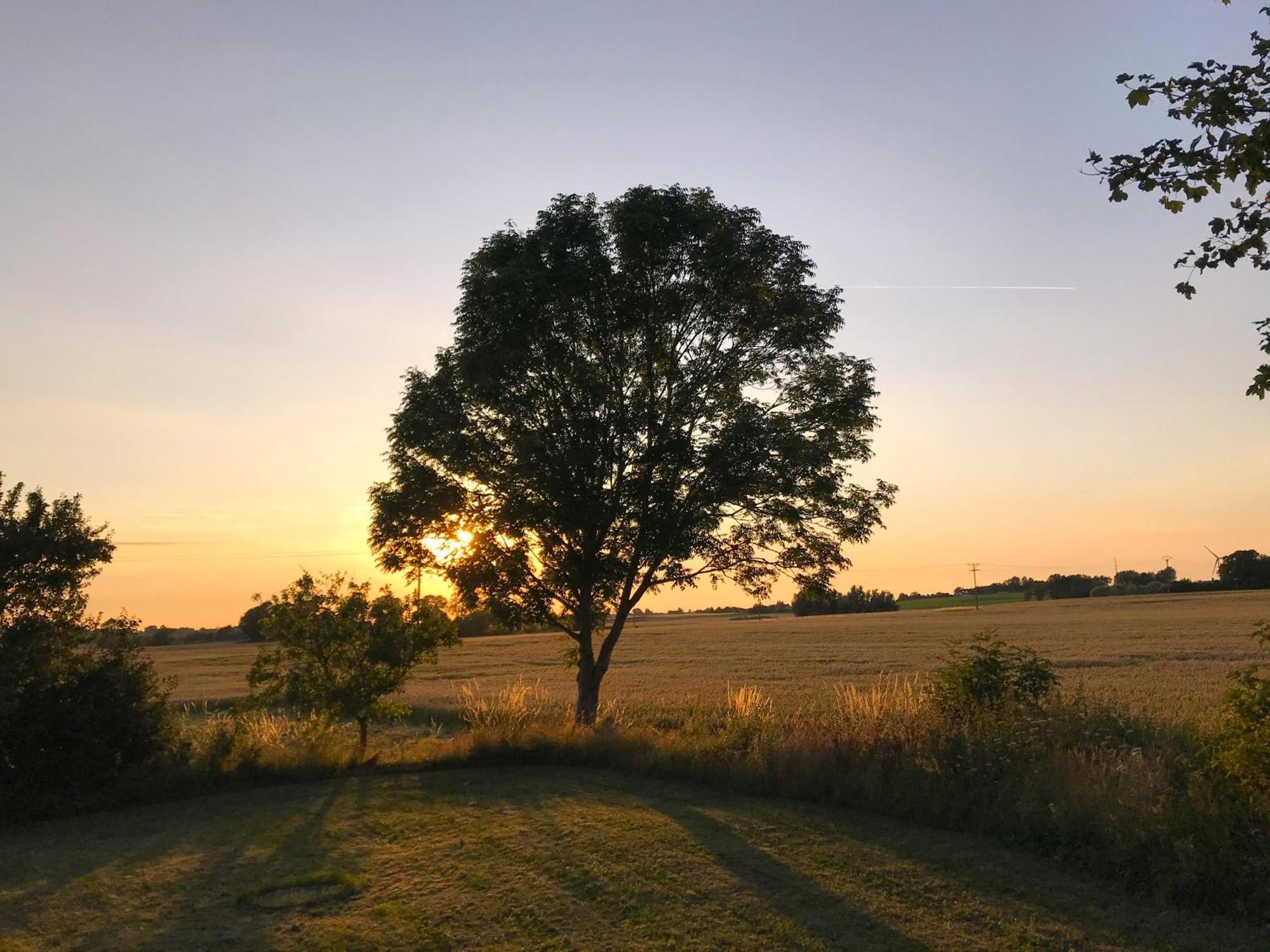 Sydkustens At Tullnaes Vingard Klagstorp Exteriör bild